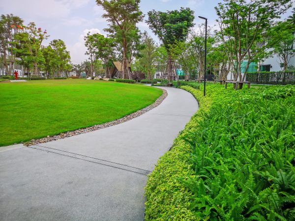 Cement Walkway Service in Fresno