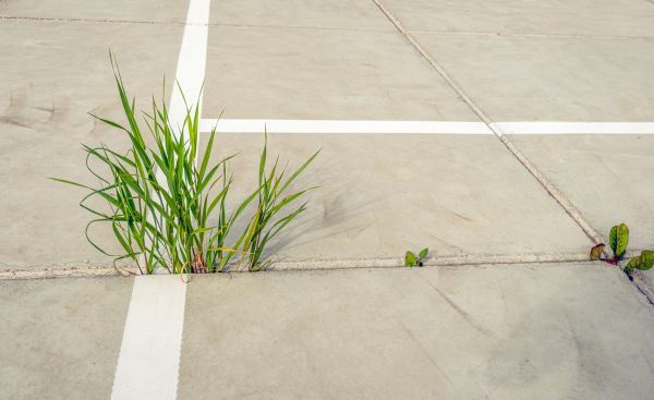 Concrete Parking Installation in Fresno