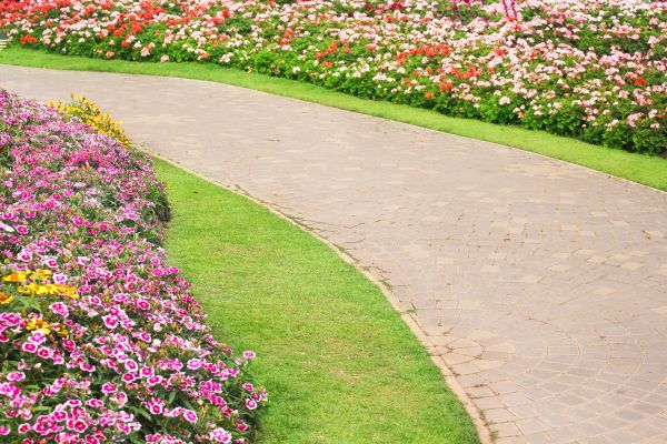 Concrete Walkway Service in Fresno