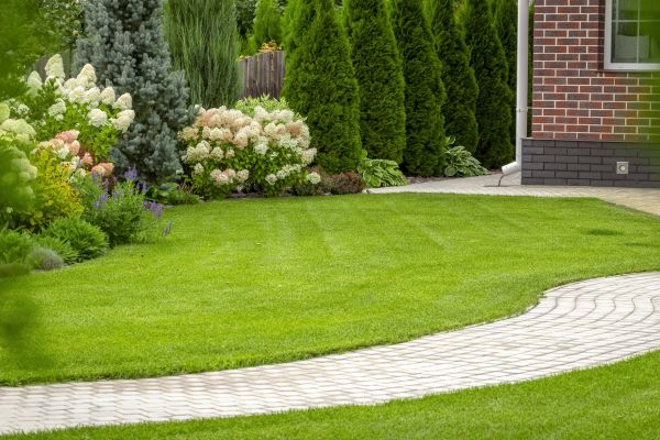 Landscape Walkway Installation in Fresno